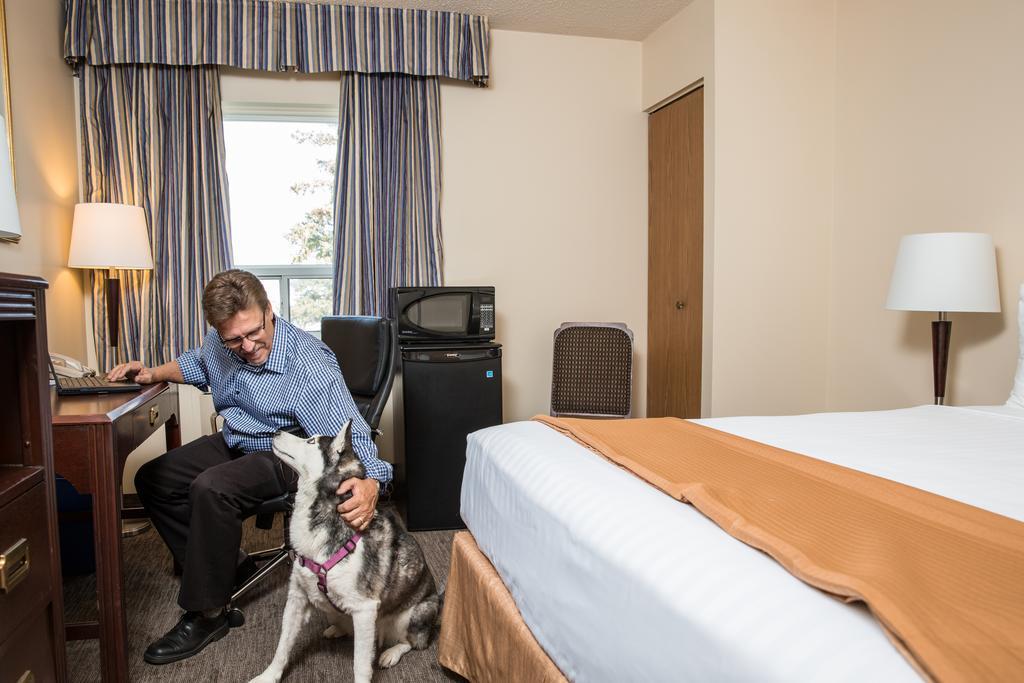 Travelodge By Wyndham Edmonton South Buitenkant foto